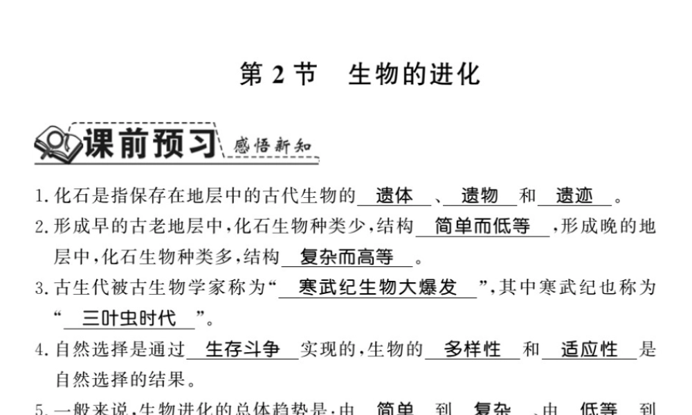 八年级生物下册 21.2 生物的进化课件 （新版）北师大版-（新版）北师大级下册生物课件