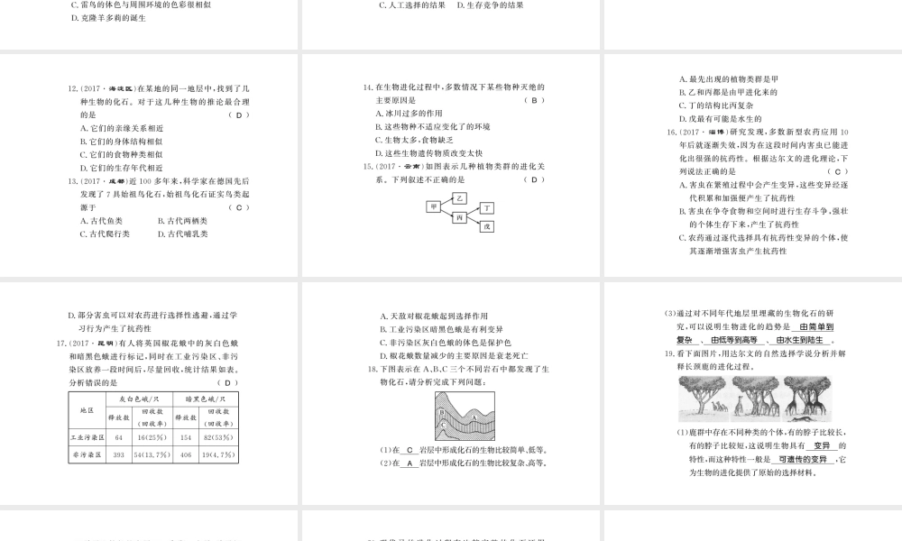 八年级生物下册 21.2 生物的进化课件 （新版）北师大版-（新版）北师大级下册生物课件