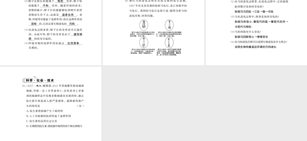 八年级生物下册 21.2 生物的进化课件 （新版）北师大版-（新版）北师大级下册生物课件