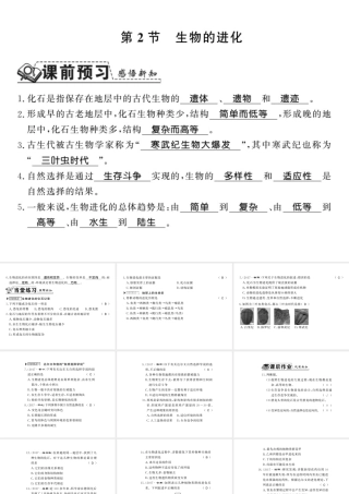 八年级生物下册 21.2 生物的进化课件 （新版）北师大版-（新版）北师大级下册生物课件