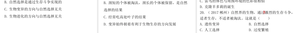 八年级生物下册 7.3 生命起源和生物进化章末总结课件 （新版）新人教版-（新版）新人教版初中八年级下册生物课件