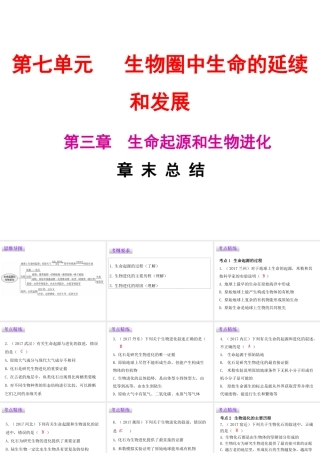 八年级生物下册 7.3 生命起源和生物进化章末总结课件 （新版）新人教版-（新版）新人教版初中八年级下册生物课件