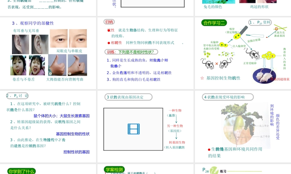 八年级生物下册 7.2.1基因控制生物的性状课件2 （新版）新人教版-（新版）新人教级下册生物课件