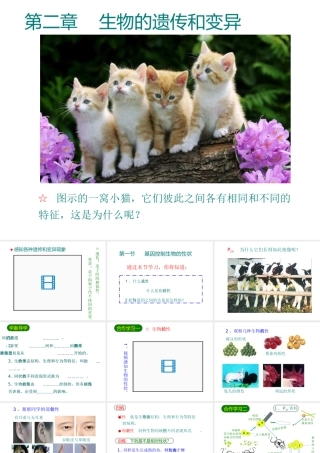 八年级生物下册 7.2.1基因控制生物的性状课件2 （新版）新人教版-（新版）新人教级下册生物课件