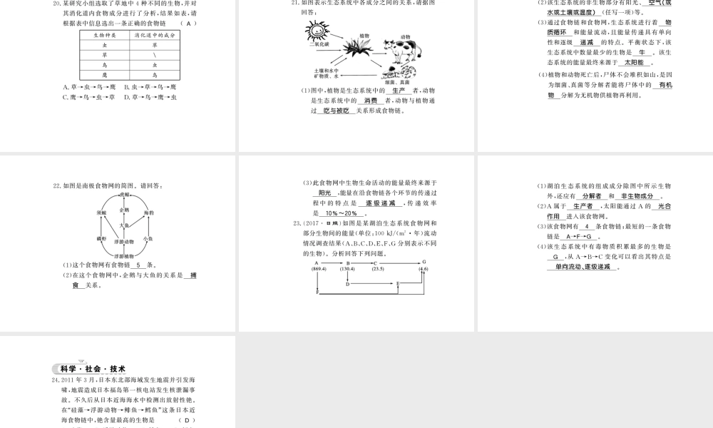 八年级生物下册 23.3 生态系统的结构和功能课件 （新版）北师大版-（新版）北师大级下册生物课件