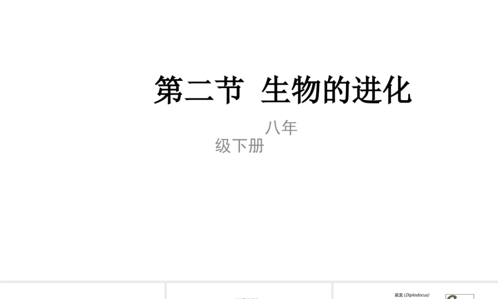 八年级生物下册 6.3.2 生物的进化课件 （新版）冀教版-（新版）冀教版初中八年级下册生物课件