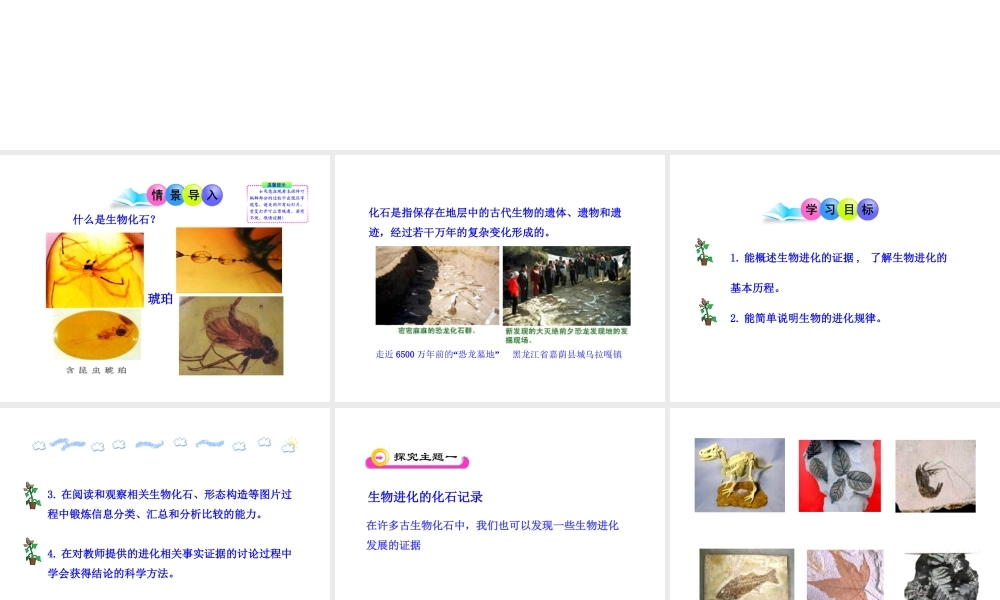 八年级生物下册 21.2 生物的进化课件 北师大版-北师大版初中八年级下册生物课件