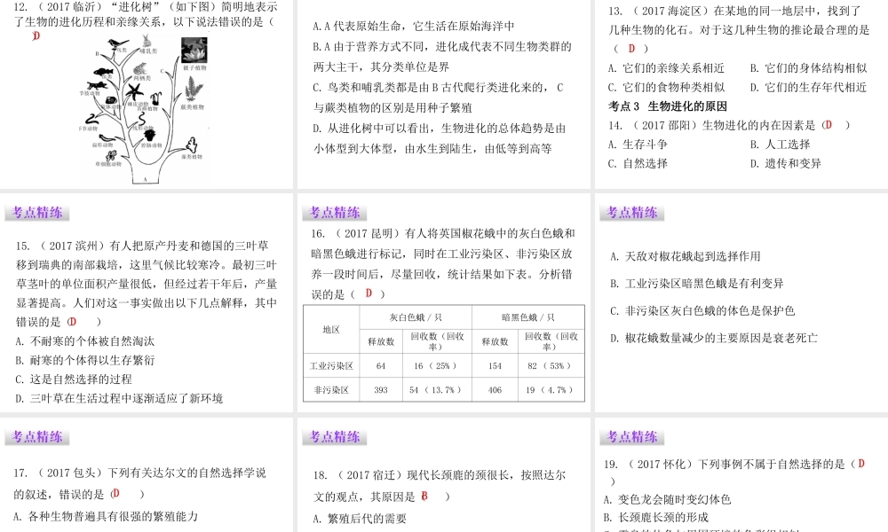 八年级生物下册 7.3 生命起源和生物进化章末总结课件 （新版）新人教版-（新版）新人教级下册生物课件
