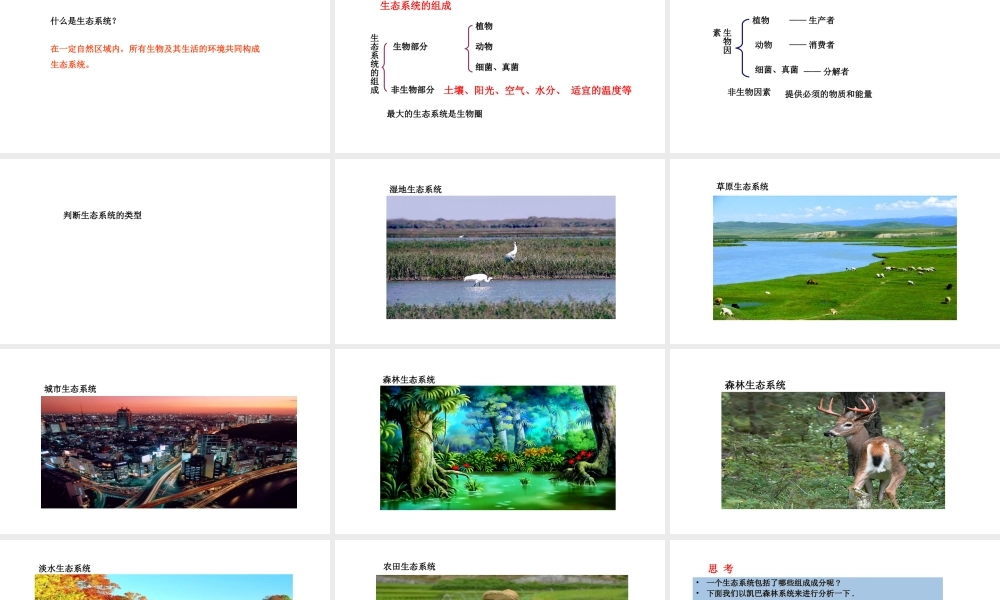 八年级生物下册 7.2.1生态系统的组成和类型教学课件 （新版）冀教版-（新版）冀教版初中八年级下册生物课件