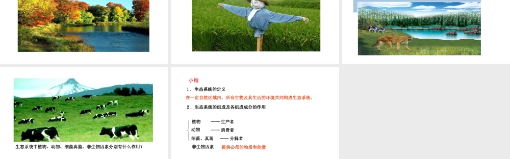 八年级生物下册 7.2.1生态系统的组成和类型教学课件 （新版）冀教版-（新版）冀教版初中八年级下册生物课件