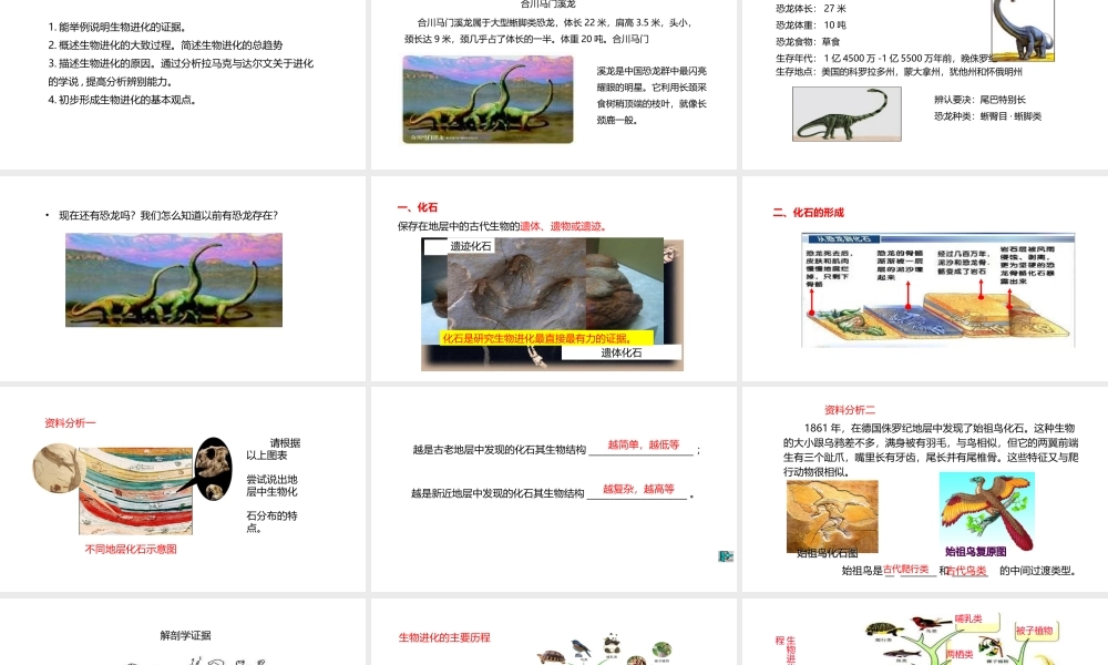 八年级生物下册 6.3.2 生物的进化课件 （新版）冀教版-（新版）冀教级下册生物课件