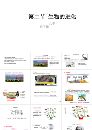 八年级生物下册 6.3.2 生物的进化课件 （新版）冀教版-（新版）冀教级下册生物课件