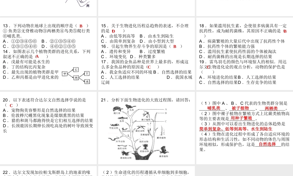 八年级生物下册 7.3 生命起源和生物进化综合检测课件 （新版）新人教版-（新版）新人教版初中八年级下册生物课件