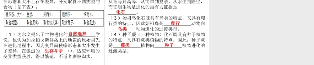 八年级生物下册 7.3 生命起源和生物进化综合检测课件 （新版）新人教版-（新版）新人教版初中八年级下册生物课件