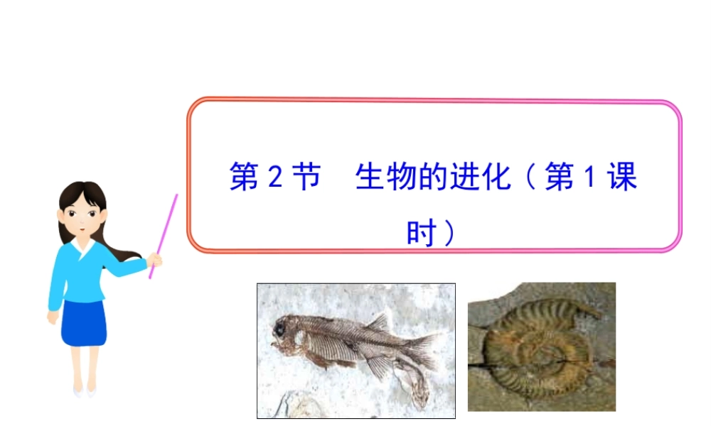 八年级生物下册 21.2 生物的进化课件 北师大版-北师大级下册生物课件