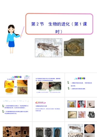 八年级生物下册 21.2 生物的进化课件 北师大版-北师大级下册生物课件