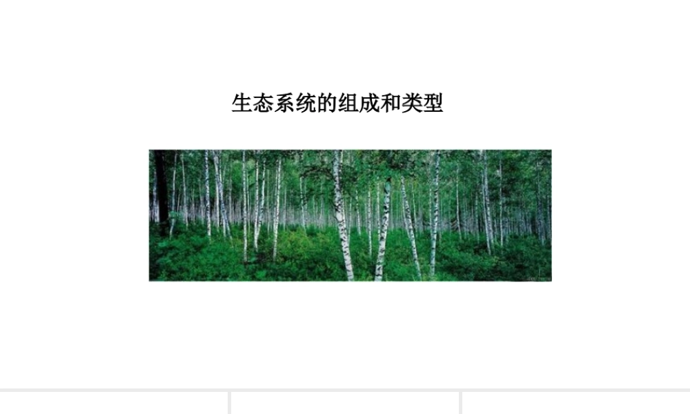 八年级生物下册 7.2.1生态系统的组成和类型教学课件 （新版）冀教版-（新版）冀教级下册生物课件