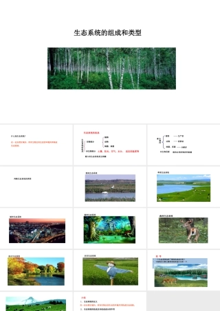 八年级生物下册 7.2.1生态系统的组成和类型教学课件 （新版）冀教版-（新版）冀教级下册生物课件