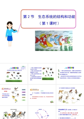 八年级生物下册 23.3 生态系统的结构和功能课件 北师大版-北师大级下册生物课件
