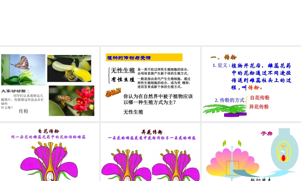 八年级生物下册 21.2 植物的有性生殖课件 苏教版