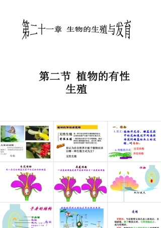 八年级生物下册 21.2 植物的有性生殖课件 苏教版