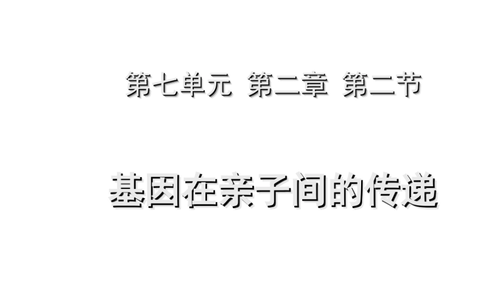 八年级生物下册 7.2.2 基团在亲子间的传递课件 （新版）新人教版-（新版）新人教版初中八年级下册生物课件