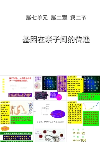 八年级生物下册 7.2.2 基团在亲子间的传递课件 （新版）新人教版-（新版）新人教版初中八年级下册生物课件
