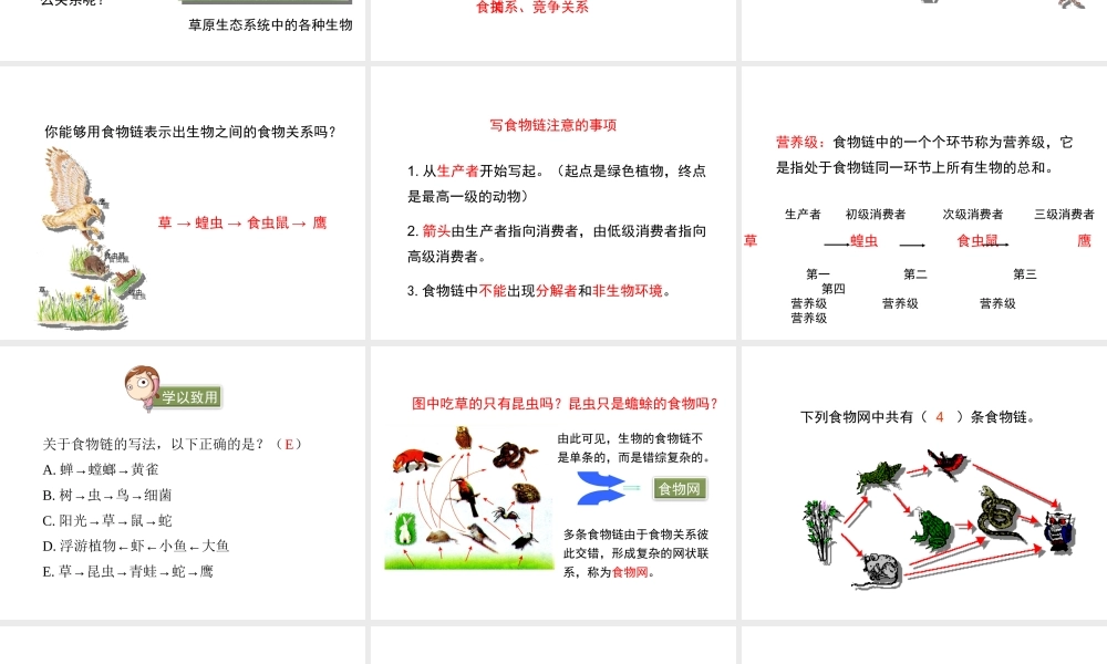 八年级生物下册 23.3《生态系统的结构和功能》（第1课时）课件 （新版）北师大版-（新版）北师大版初中八年级下册生物课件