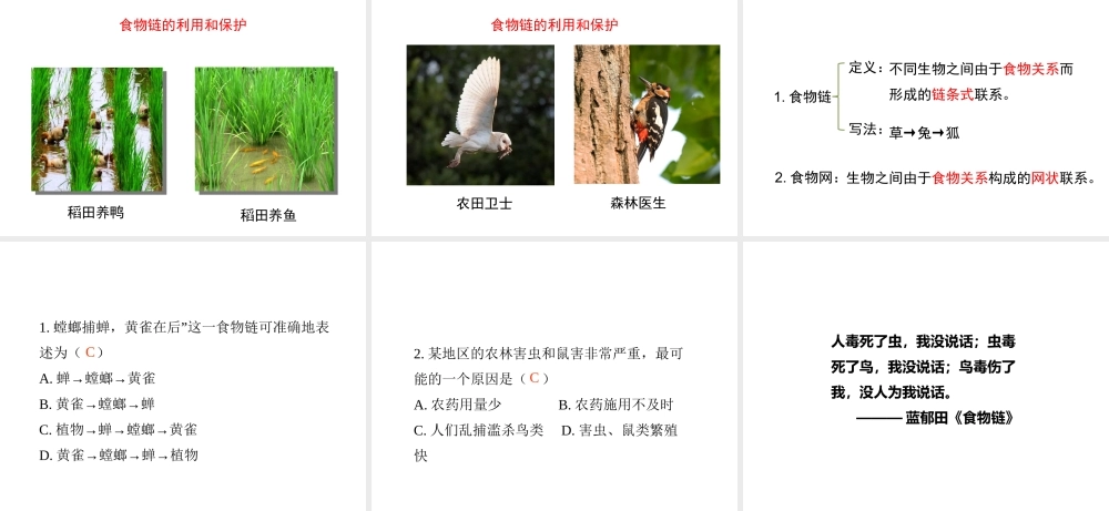 八年级生物下册 23.3《生态系统的结构和功能》（第1课时）课件 （新版）北师大版-（新版）北师大版初中八年级下册生物课件