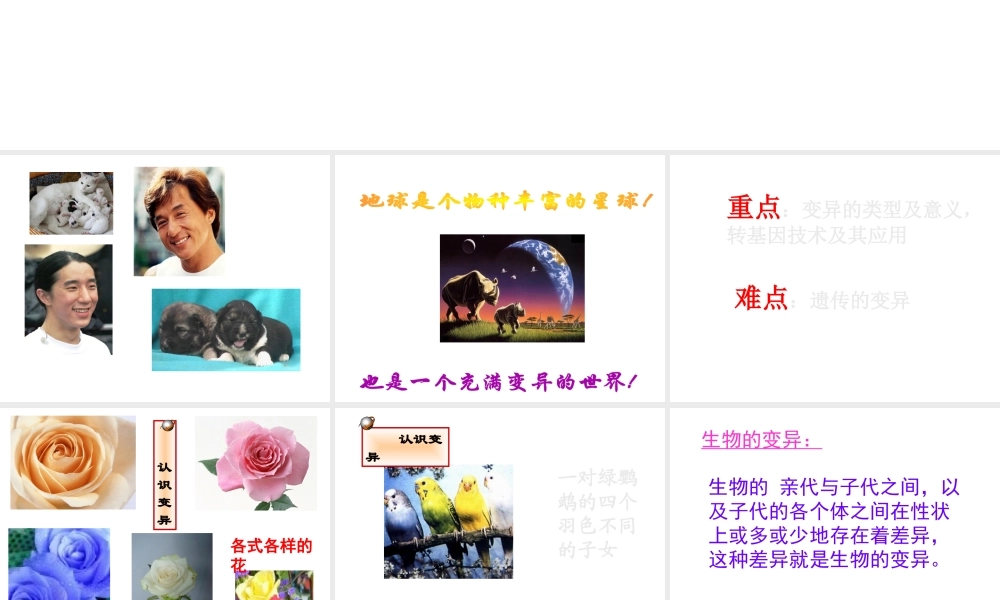 八年级生物下册 21.2《生物的变异》课件 苏科版