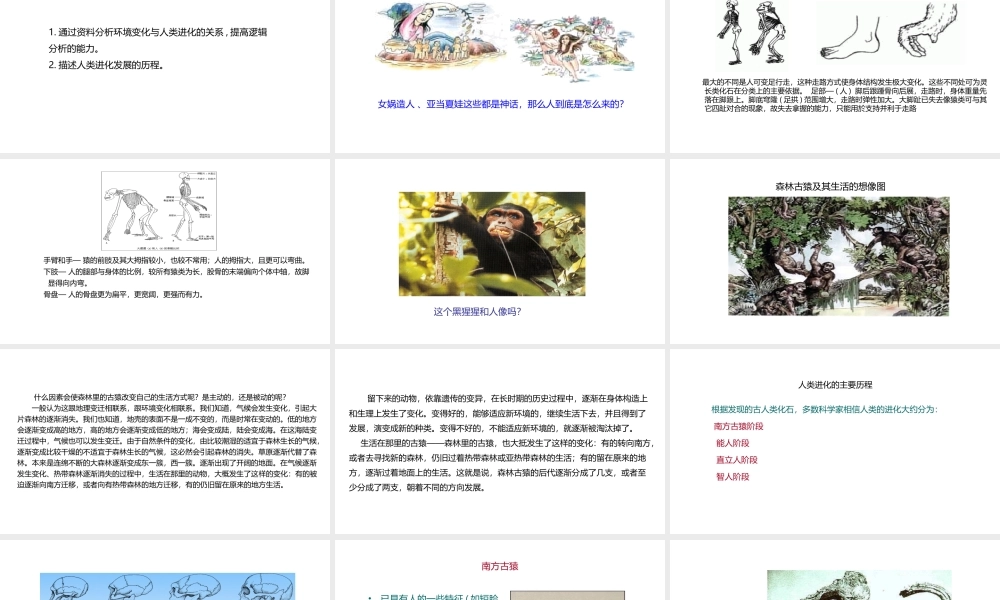 八年级生物下册 6.3.3 人类的起源课件 （新版）冀教版-（新版）冀教版初中八年级下册生物课件