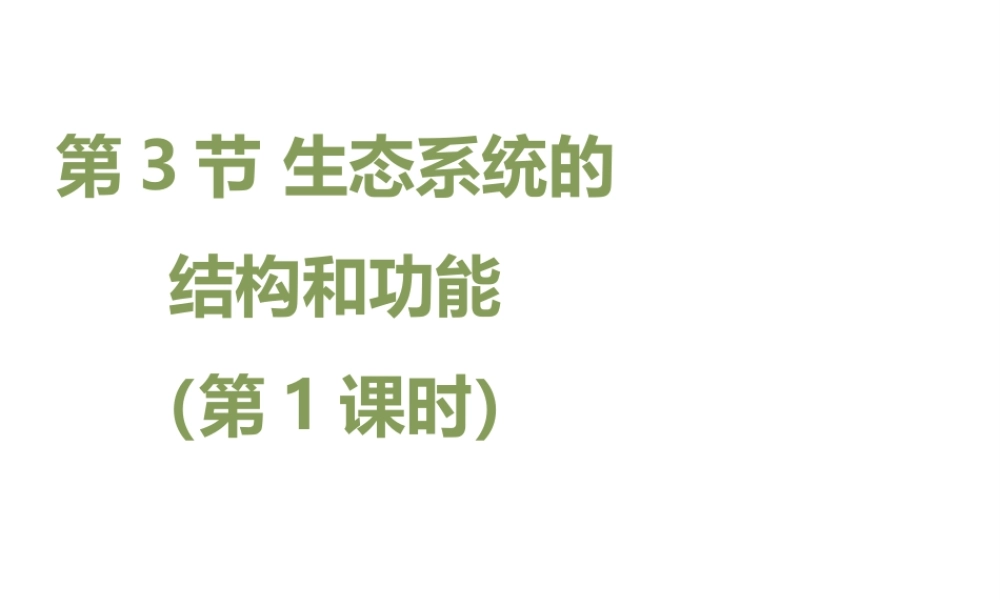 八年级生物下册 23.3《生态系统的结构和功能》（第1课时）课件 （新版）北师大版-（新版）北师大级下册生物课件
