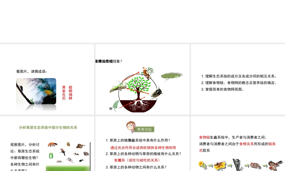 八年级生物下册 23.3《生态系统的结构和功能》（第1课时）课件 （新版）北师大版-（新版）北师大级下册生物课件