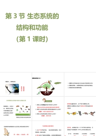 八年级生物下册 23.3《生态系统的结构和功能》（第1课时）课件 （新版）北师大版-（新版）北师大级下册生物课件