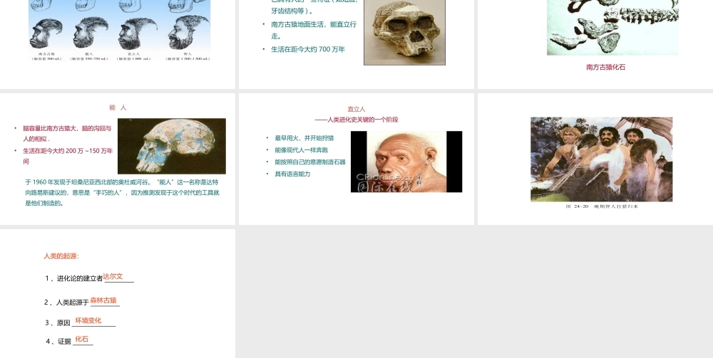 八年级生物下册 6.3.3 人类的起源课件 （新版）冀教版-（新版）冀教级下册生物课件