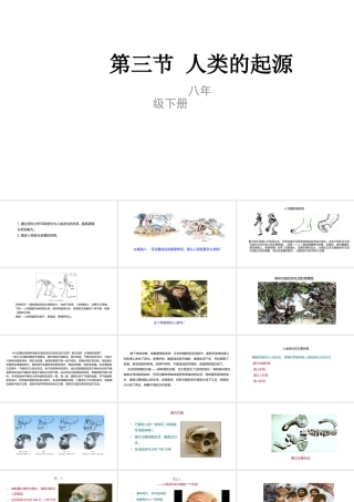 八年级生物下册 6.3.3 人类的起源课件 （新版）冀教版-（新版）冀教级下册生物课件