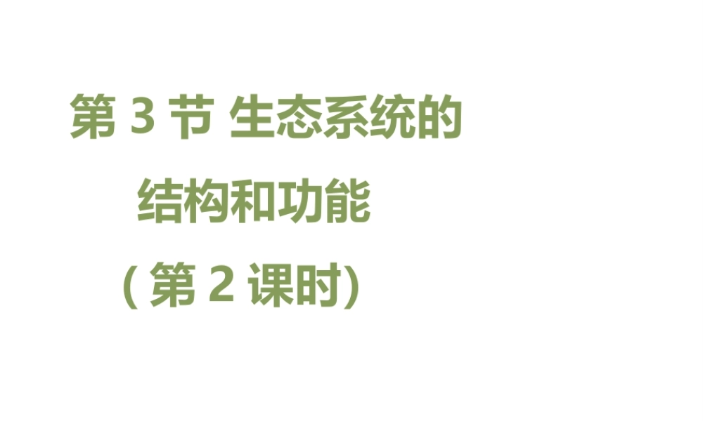 八年级生物下册 23.3《生态系统的结构和功能》（第2课时）课件 （新版）北师大版-（新版）北师大版初中八年级下册生物课件