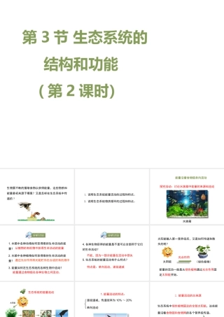 八年级生物下册 23.3《生态系统的结构和功能》（第2课时）课件 （新版）北师大版-（新版）北师大版初中八年级下册生物课件