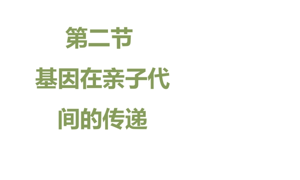 八年级生物下册 7.2.2 基因在亲子代间的传递教学课件 （新版）新人教版-（新版）新人教版初中八年级下册生物课件