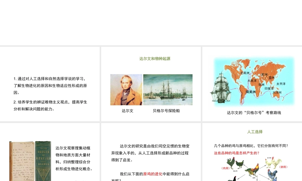 八年级生物下册 21.2《生物的进化》（第2课时）课件 （新版）北师大版-（新版）北师大级下册生物课件