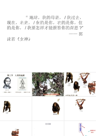 八年级生物下册 6.3.3 人类的起源课件 冀教版-冀教版初中八年级下册生物课件