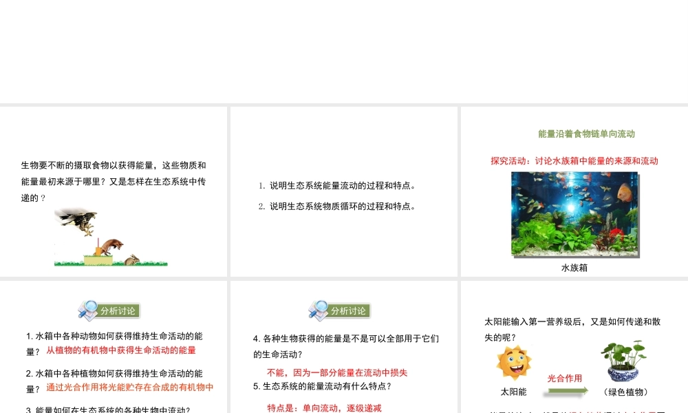 八年级生物下册 23.3《生态系统的结构和功能》（第2课时）课件 （新版）北师大版-（新版）北师大级下册生物课件