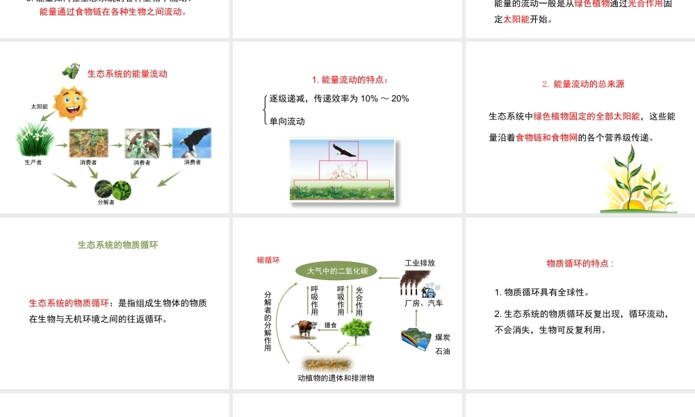 八年级生物下册 23.3《生态系统的结构和功能》（第2课时）课件 （新版）北师大版-（新版）北师大级下册生物课件