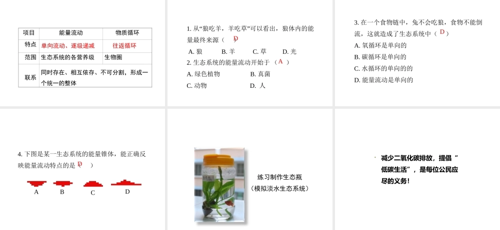 八年级生物下册 23.3《生态系统的结构和功能》（第2课时）课件 （新版）北师大版-（新版）北师大级下册生物课件