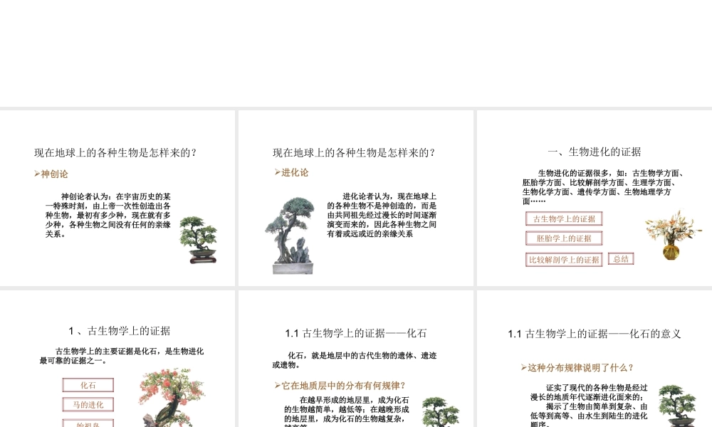 八年级生物下册 21.2《生物的进化》课件 （新版）北师大版-（新版）北师大版初中八年级下册生物课件