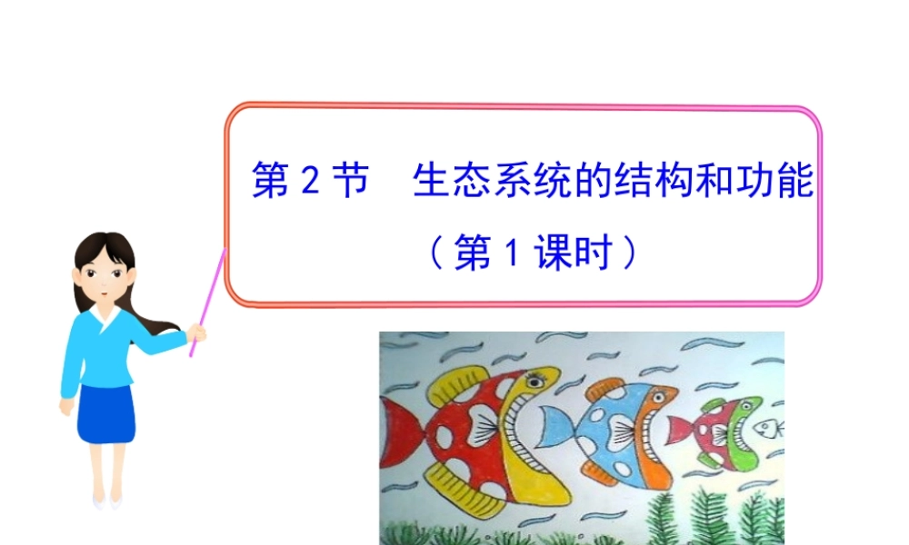 八年级生物下册 23.3《生态系统的结构和功能》课件1 （新版）北师大版-（新版）北师大版初中八年级下册生物课件