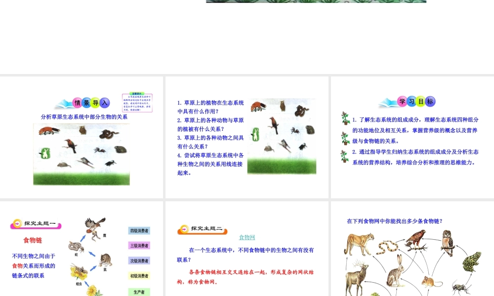 八年级生物下册 23.3《生态系统的结构和功能》课件1 （新版）北师大版-（新版）北师大版初中八年级下册生物课件