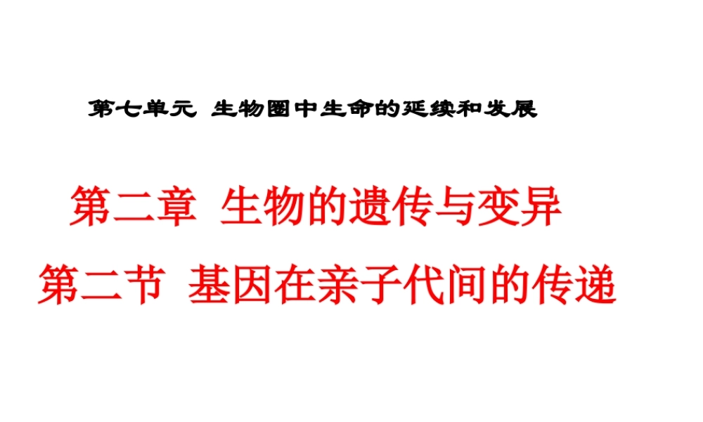 八年级生物下册 7.2.2 基因在亲子代间的传递课件 （新版）新人教版-（新版）新人教版初中八年级下册生物课件