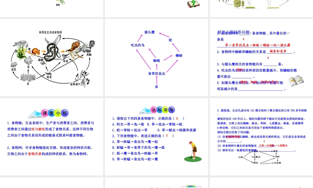 八年级生物下册 23.3《生态系统的结构和功能》课件1 （新版）北师大版-（新版）北师大级下册生物课件