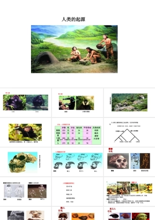 八年级生物下册 6.3.3人类的起源教学课件 （新版）冀教版-（新版）冀教版初中八年级下册生物课件